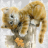 miss-dmitreva